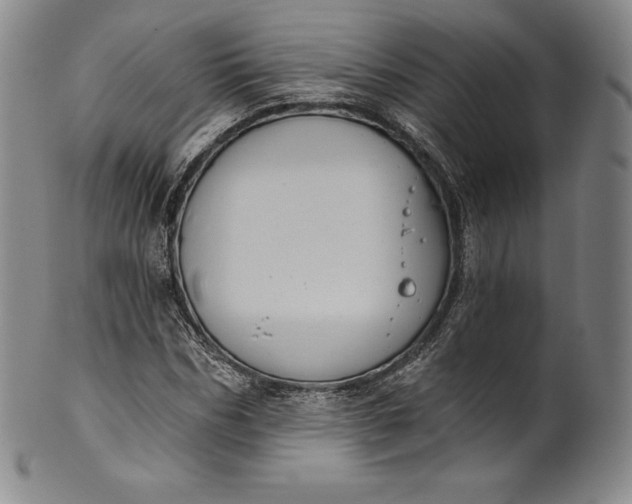 X0000102240970200808081432