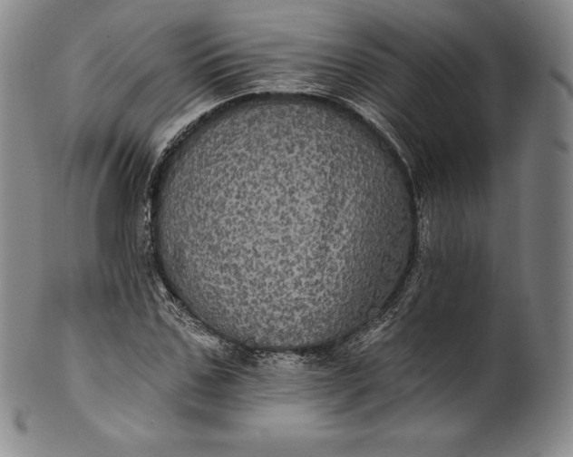 X0000102240971200808081432