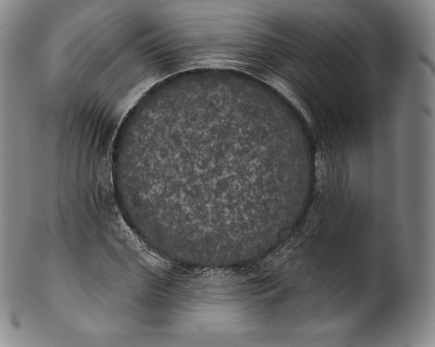 X0000102240972200808081432