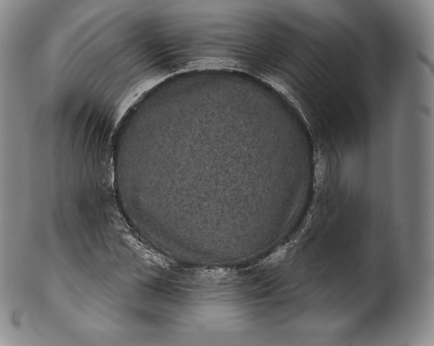 X0000102240973200808081432