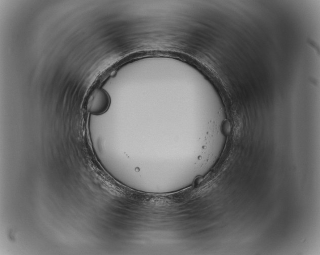 X0000102240974200808081432