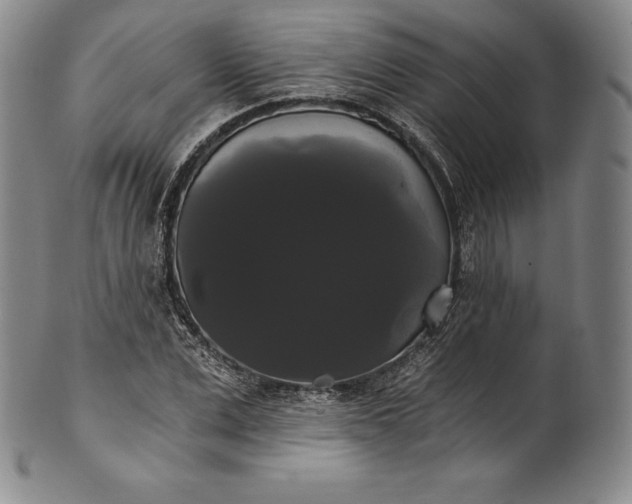 X0000102240975200808081432