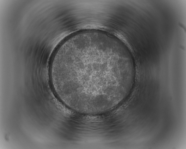 X0000102240976200808081432