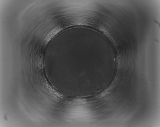 X0000102240977200808081432