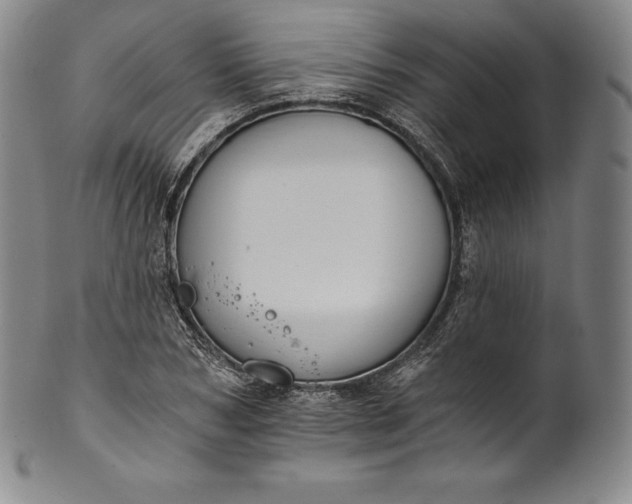 X0000102240978200808081432