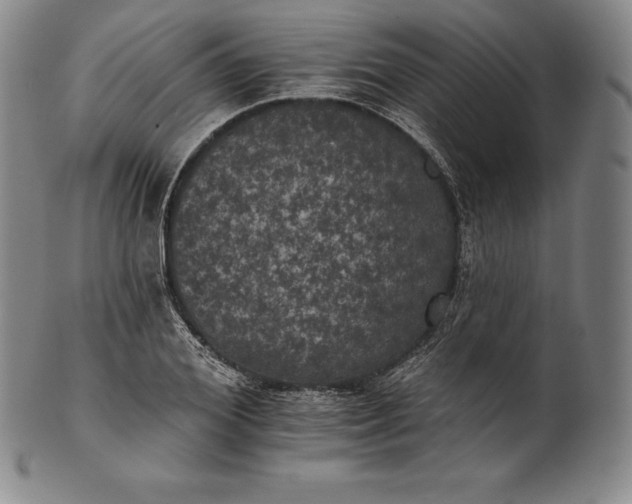 X0000102240980200808081431