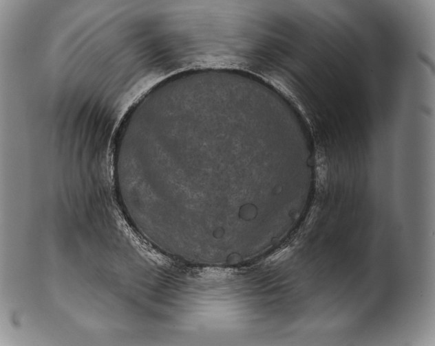 X0000102240981200808081431