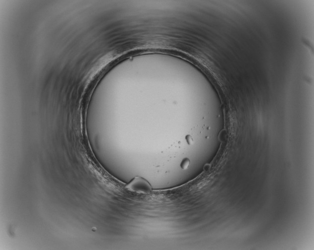 X0000102240982200808081431