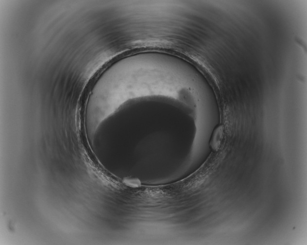 X0000102240983200808081431