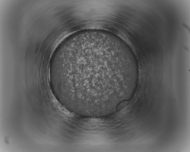 X0000102240984200808081431