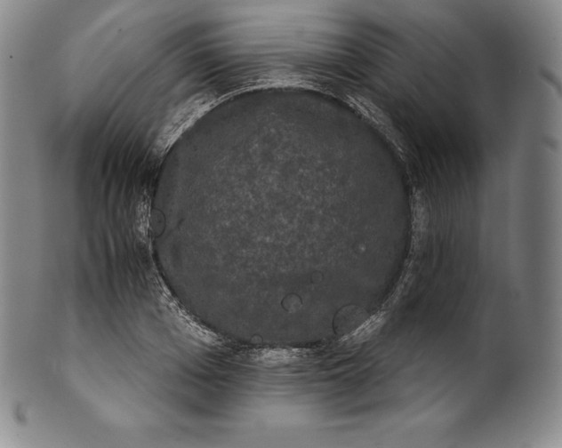 X0000102240985200808081431