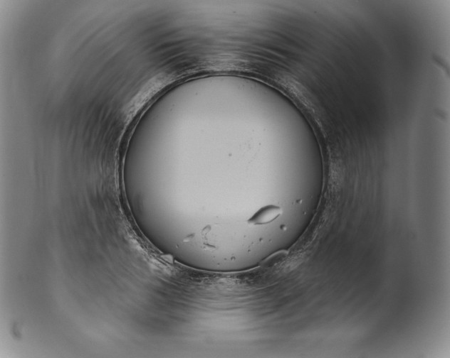 X0000102240986200808081431