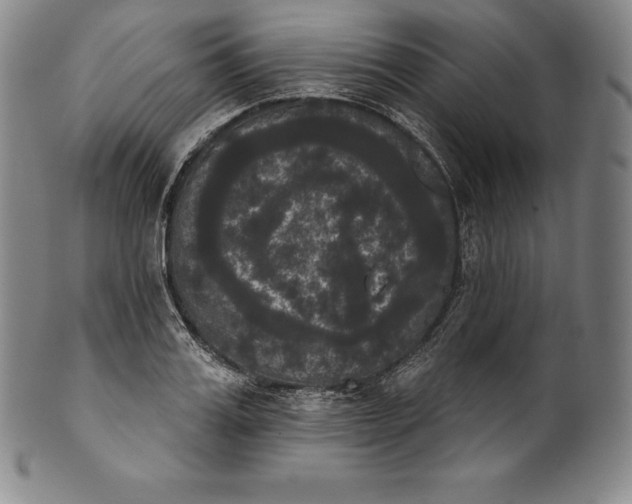 X0000102240987200808081431