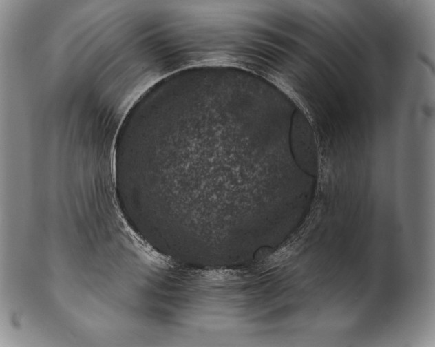 X0000102240988200808081431