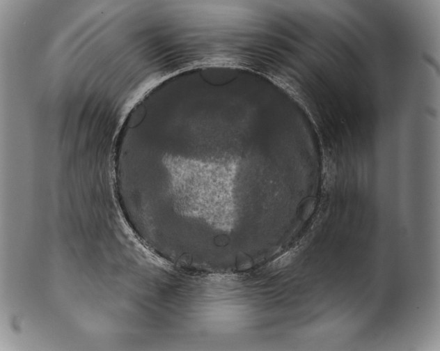 X0000102240989200808081431