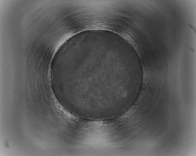 X0000102240990200808081431