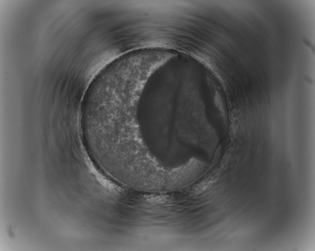 X0000102240991200808081431