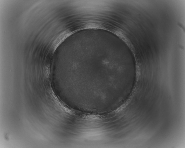 X0000102240993200808081431