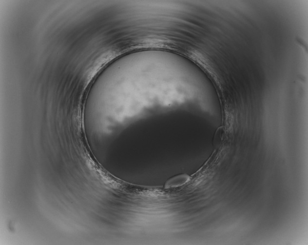 X0000102240994200808081431