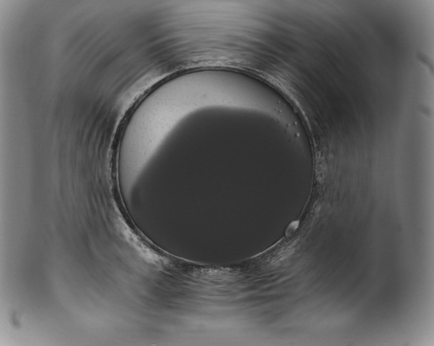 X0000102240995200808081431