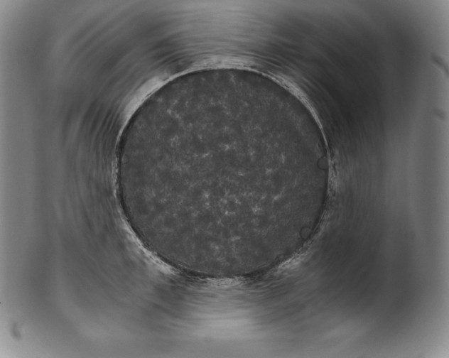 X0000102240997200808081431