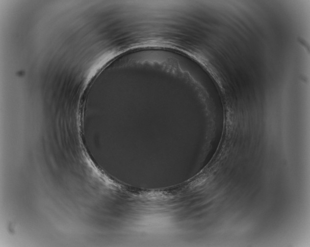 X0000102240998200808081431