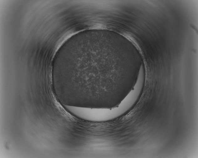 X0000102241000200808081431