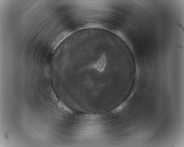 X0000102241001200808081431