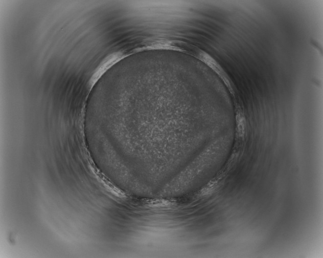 X0000102241002200808081431