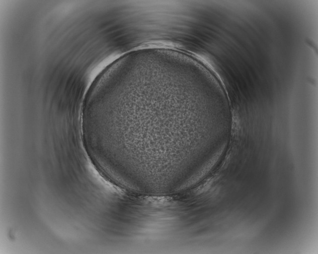 X0000102241003200808081431