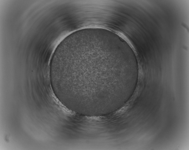 X0000102241004200808081431