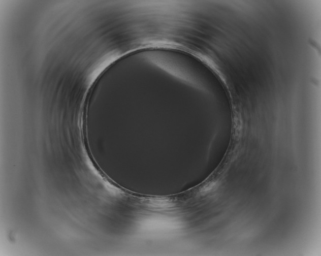 X0000102241007200808081431