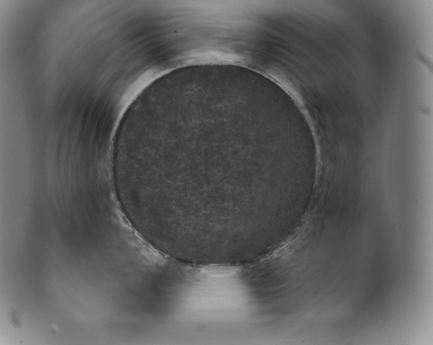 X0000102241008200808081431