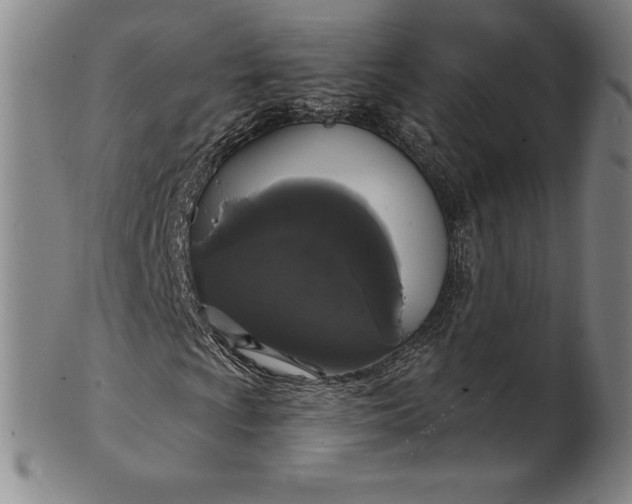 X0000102241009200808081430