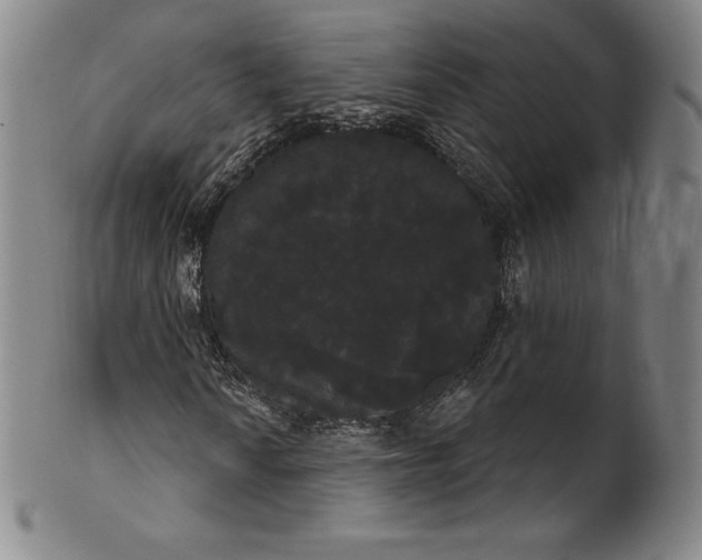 X0000102241010200808081430