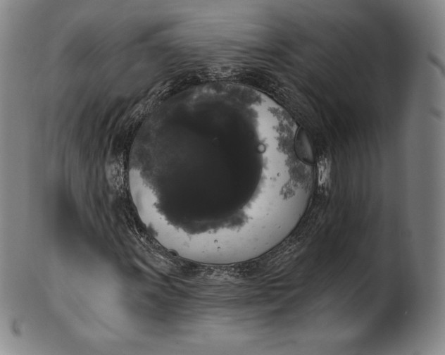 X0000102241011200808081430