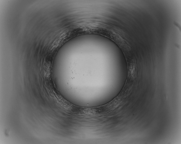 X0000102241012200808081430