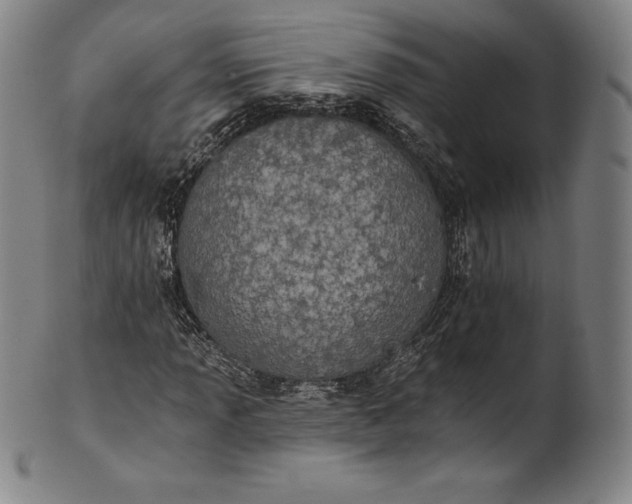 X0000102241013200808081430