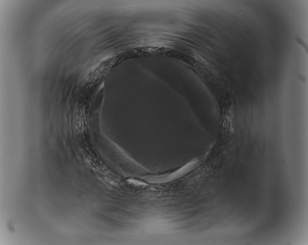 X0000102241014200808081430