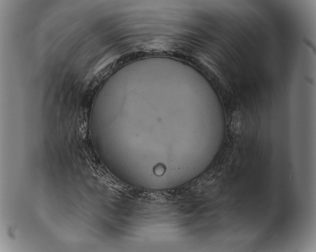 X0000102241015200808081430