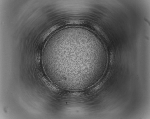 X0000102241017200808081430