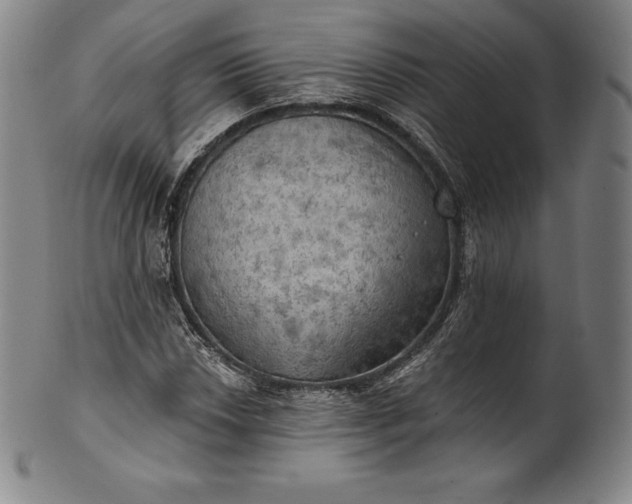 X0000102241018200808081430