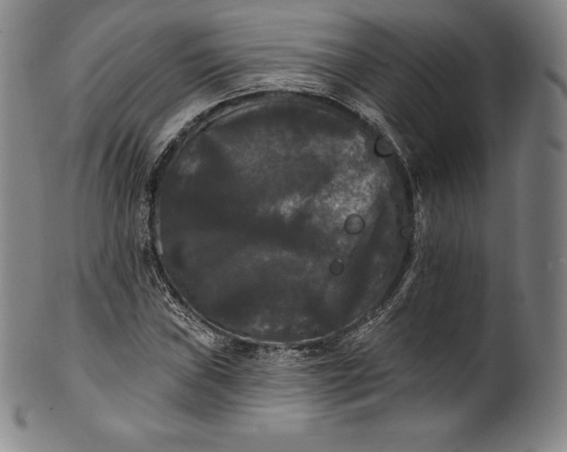 X0000102241019200808081431