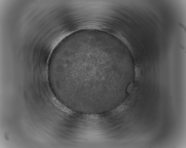 X0000102241020200808081431