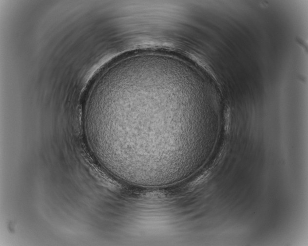 X0000102241021200808081431