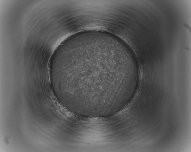 X0000102241022200808081431