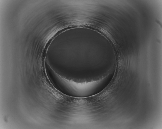 X0000102241023200808081431