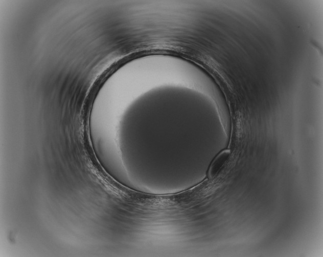 X0000102241024200808081431