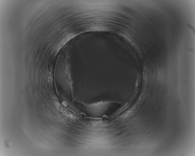 X0000102241025200808081431