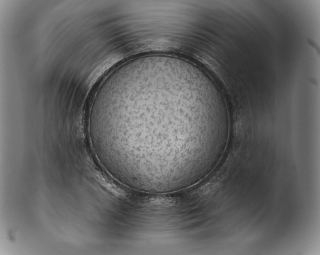 X0000102241026200808081431